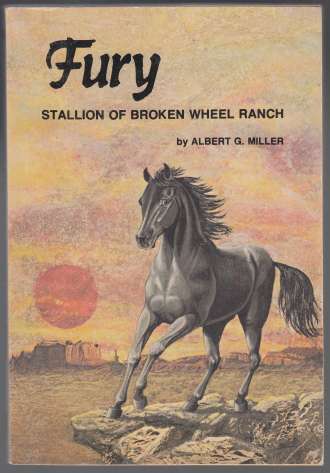 Image for Fury Stallion Of Broken Wheel Ranch