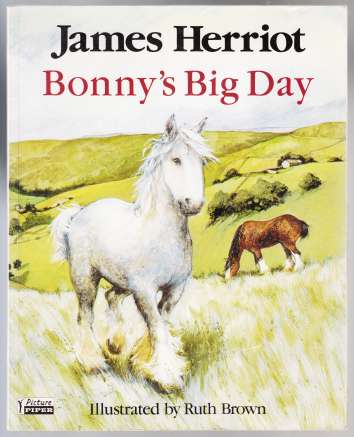 Image for Bonny's Big Day