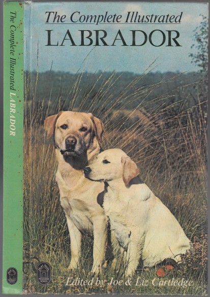 Image for The Complete Illustrated Labrador