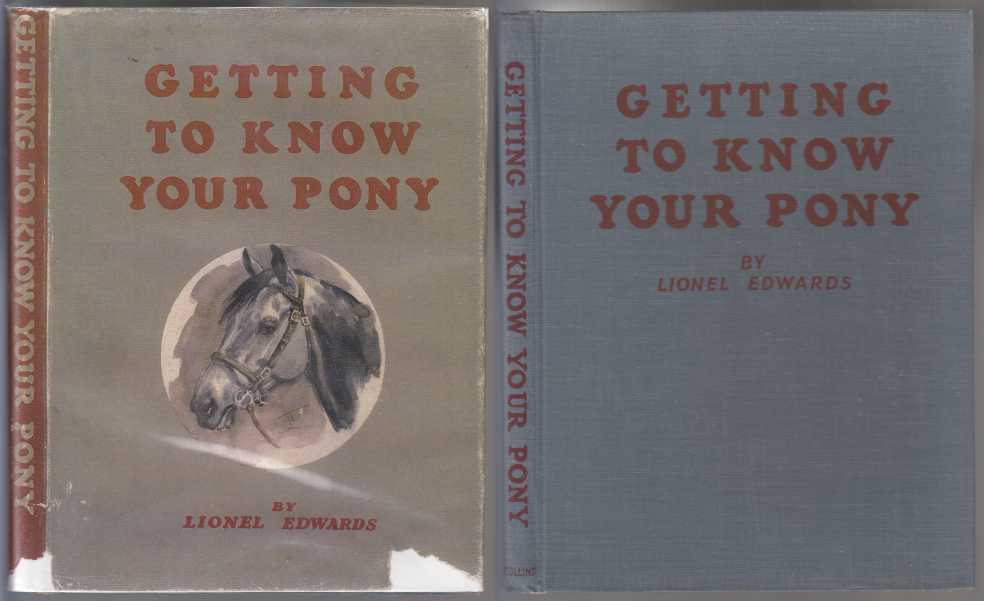 Image for Getting to Know Your Pony