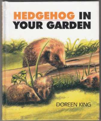 Image for Hedgehog in Your Garden