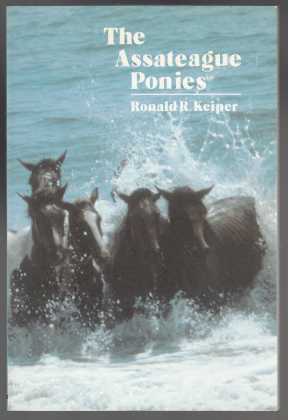 Image for The Assateague Ponies