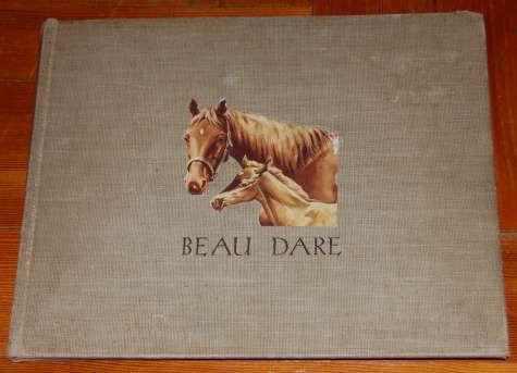 Image for Beau Dare American Saddle Colt