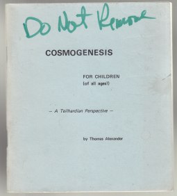 Image for Cosmogenesis For Children (of All Ages) A Teilhardian Perspective