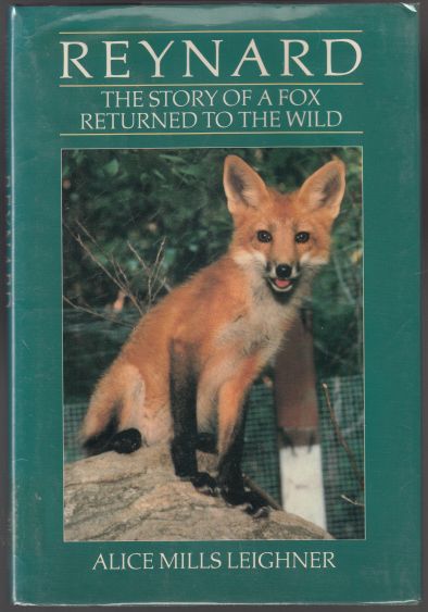 Image for Reynard The Story of a Fox Returned to the Wild