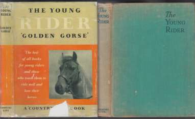 Image for The Young Rider