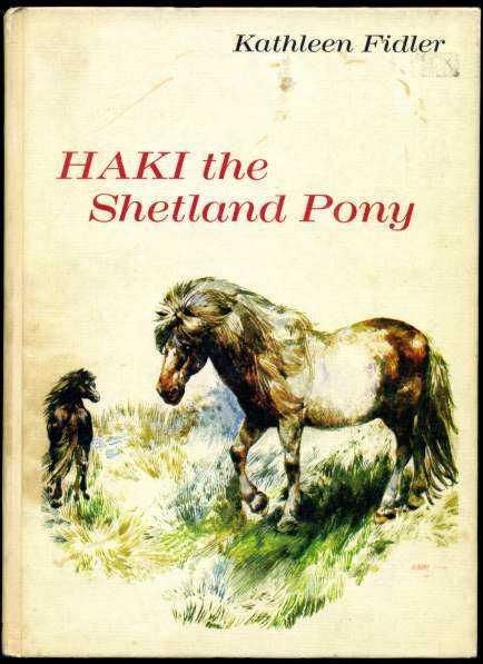 Image for Haki the Shetland Pony