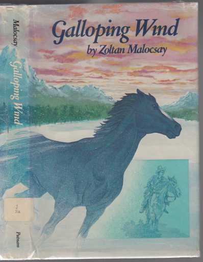 Image for Galloping Wind