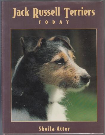 Image for Jack Russell Terriers Today