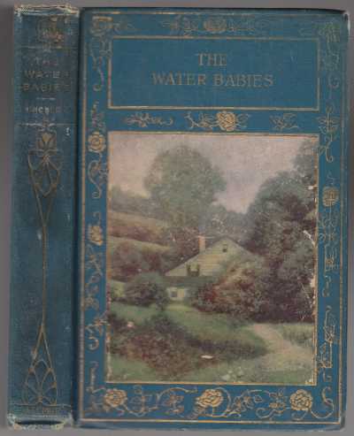 Image for The Water Babies A Fairy Tale For A Land-Baby