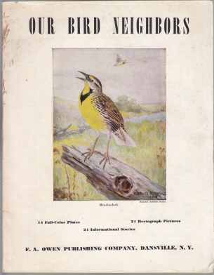 Image for Our Bird Neighbors
