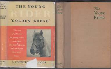 Image for The Young Rider