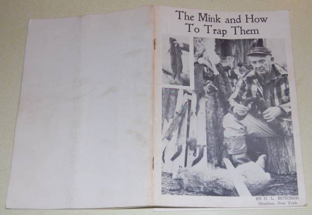 Image for The Mink and How To Trap Them