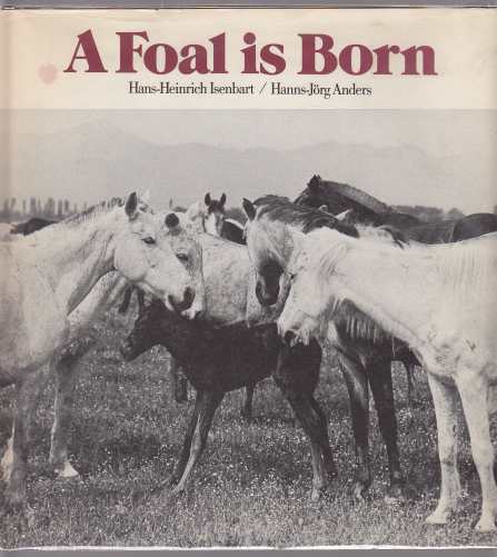 Image for A Foal Is Born