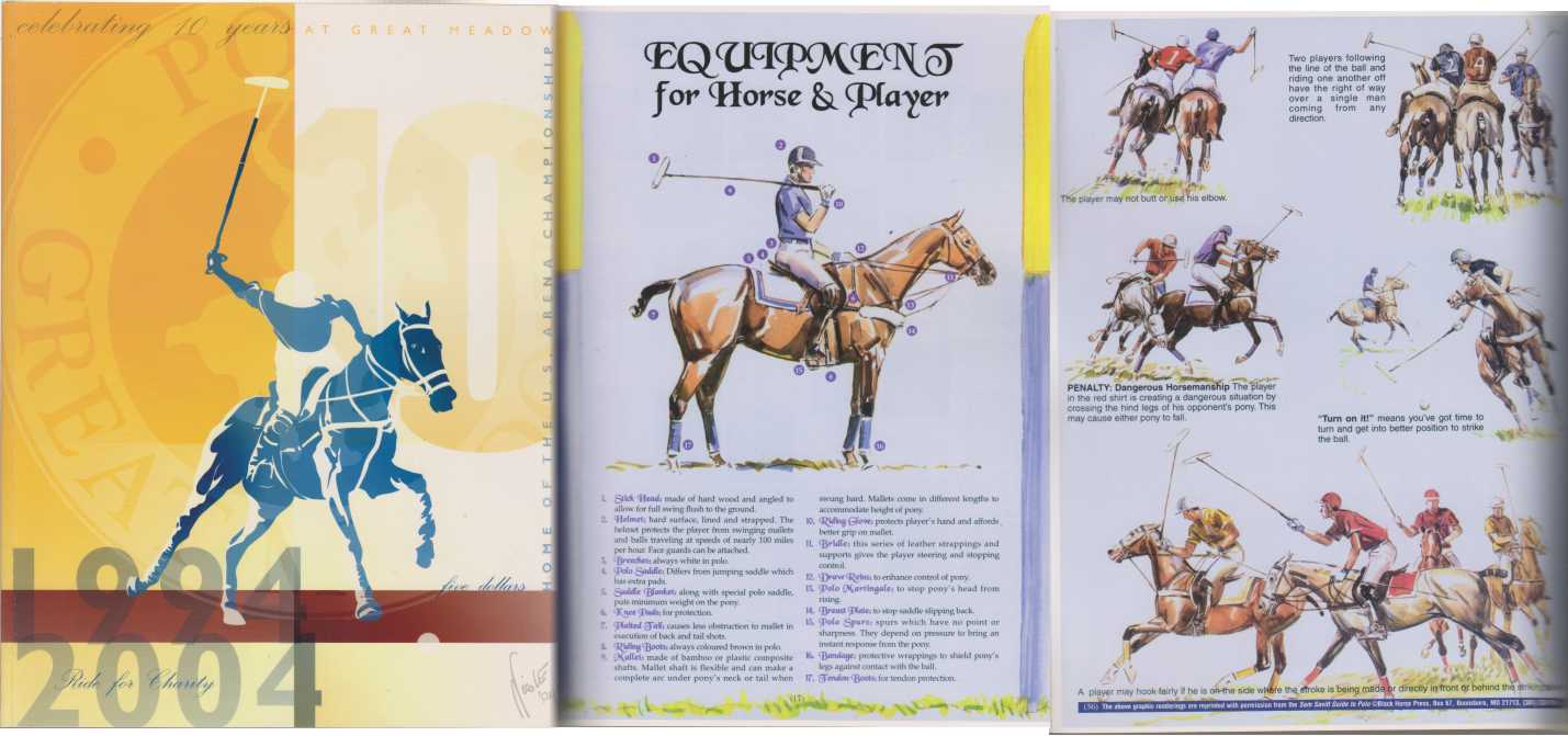 Image for Polo at Great Meadow, The Plains VA 10 Yr Anniversary Book