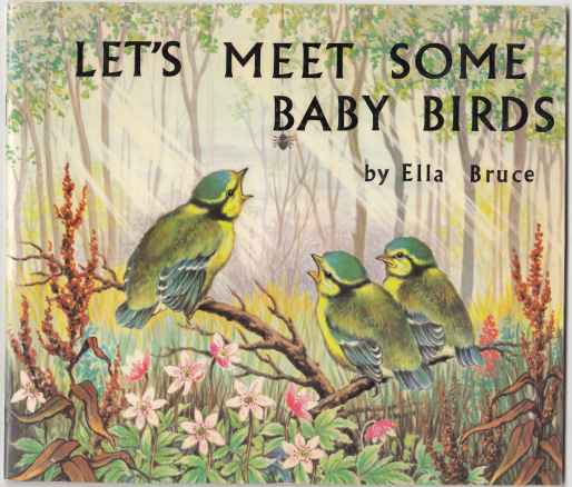 Image for Let's Meet Some Baby Birds