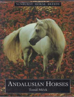 Image for Andalusian Horses