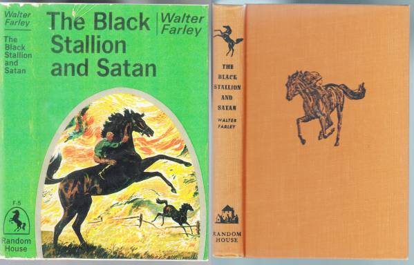 Image for The Black Stallion and Satan
