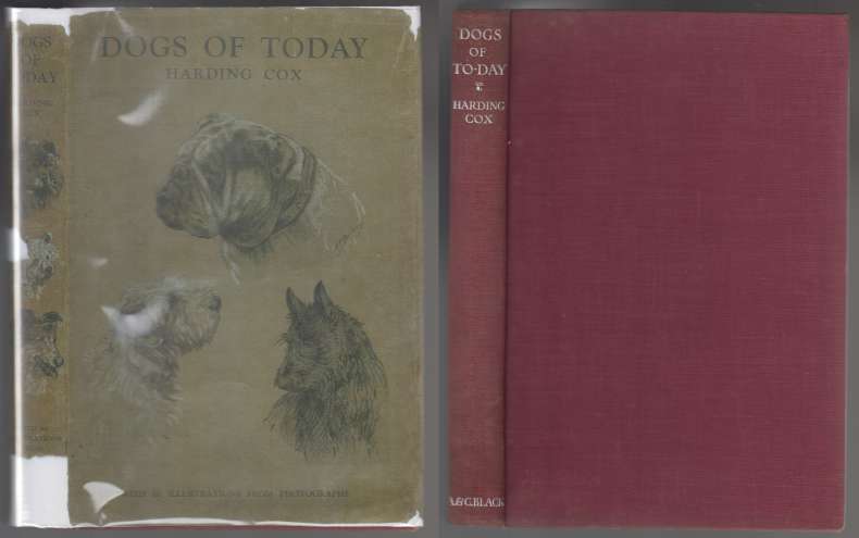 Image for Dogs of Today