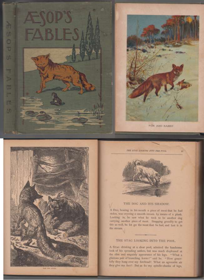 Image for Aesop's Fables