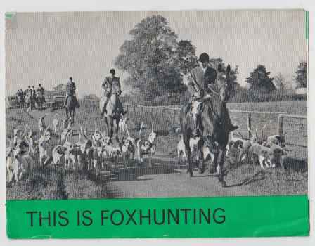 Image for This Is Foxhunting