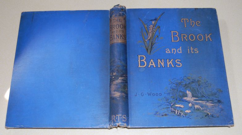 Image for The Brook And Its Banks