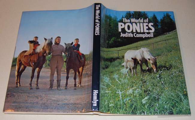 Image for The World Of Ponies