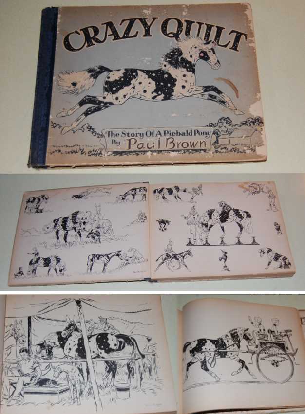 Crazy Quilt The Story of a Piebald Pony