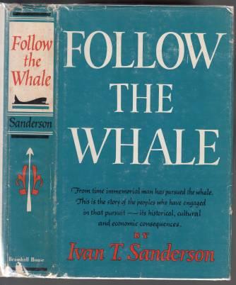 Image for Follow The Whale