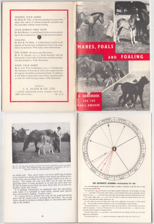 Image for Mares, Foals and Foaling A Handbook for the Small Breeder