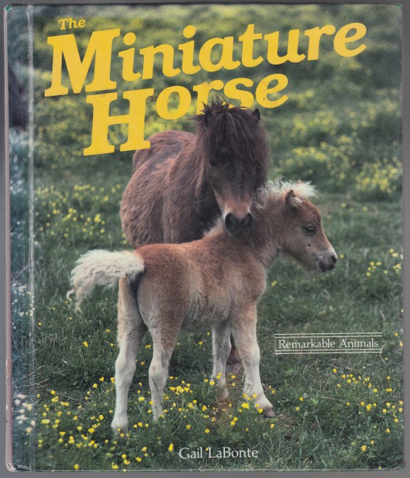 Image for The Miniature Horse A Dillion Remarkable Animals Book