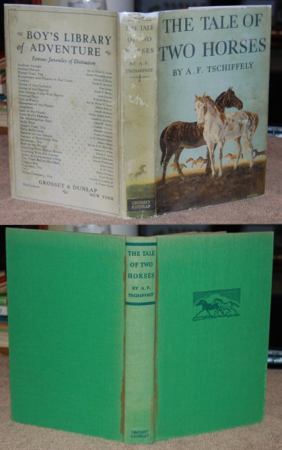 Image for The Tale of Two Horses