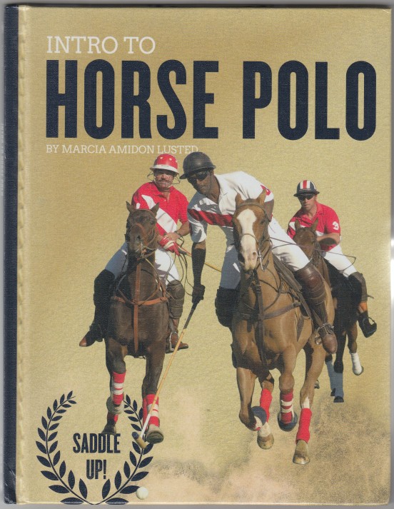 Image for Intro To Horse Polo