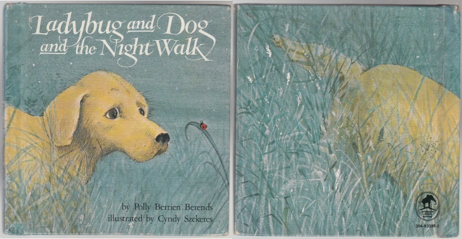 Image for Ladybug and Dog and the Night Walk