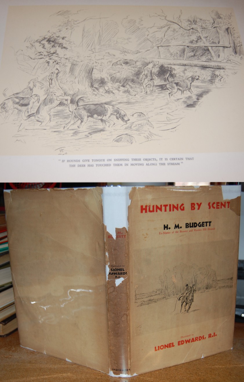 Image for Hunting By Scent