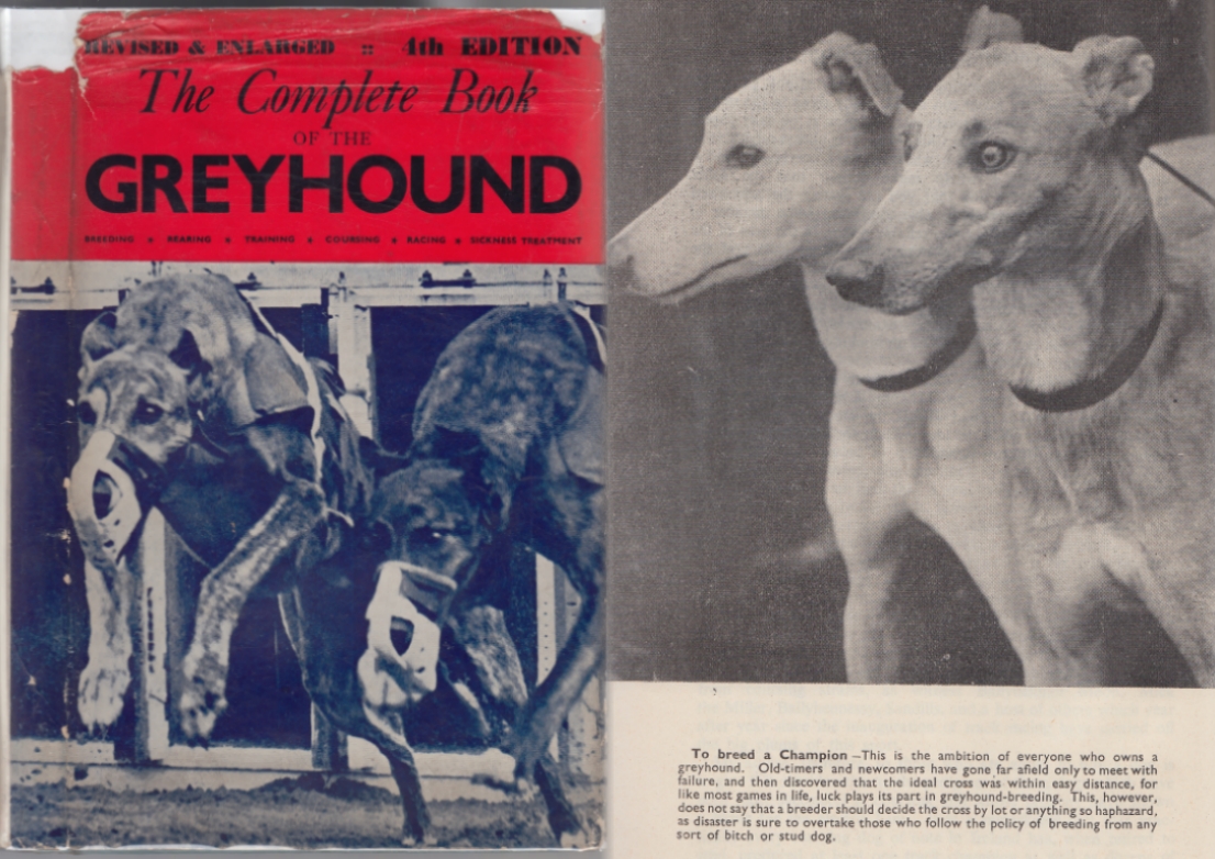 Image for The Complete Book of the Greyhound Including Special Articles on the Greyhound in Ireland, Great Britain, United States of America, Australia and France Revised & Enlarged 4th Edition