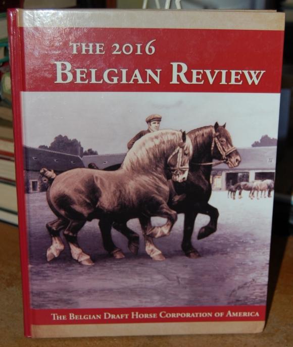 Image for The 2016 Belgian Review