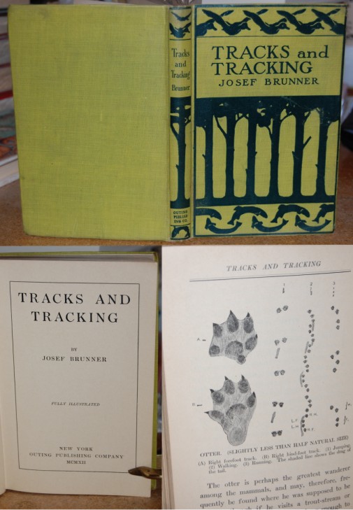 Image for Tracks and Tracking