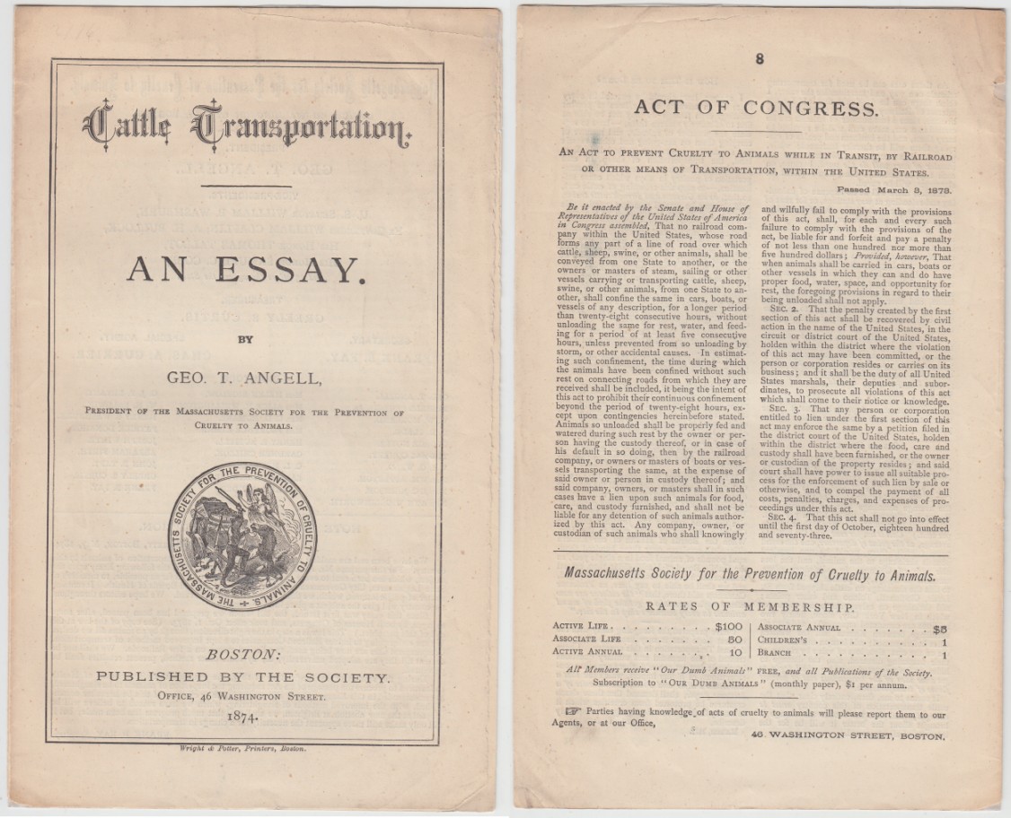 Image for Cattle Transportation An Essay
