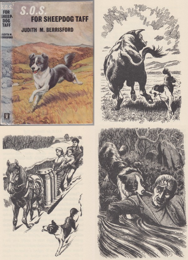 Image for S.O.S. For Sheepdog Taff