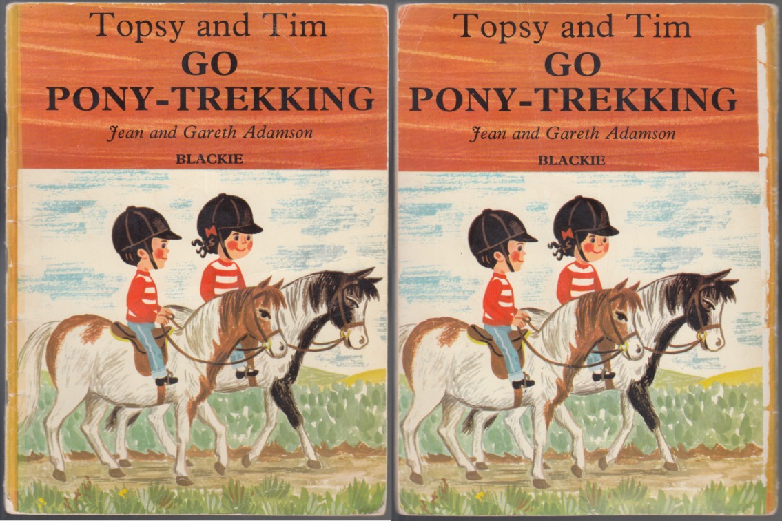 Image for Topsy and Tim Go Pony Trekking