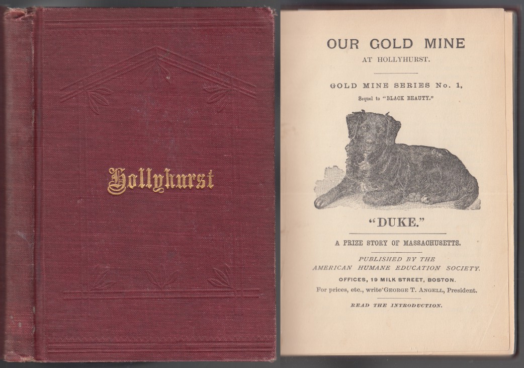 Image for Our Gold Mine at Hollyhurst, Gold Mine Series No. 1 (Sequel to "Black Beauty")