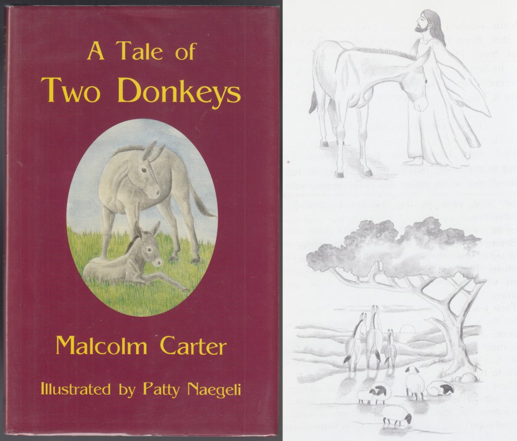 Image for A Tale of Two Donkeys