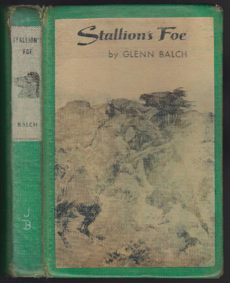 Image for Stallion's Foe