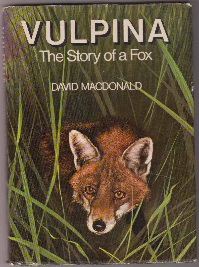 Image for Vulpina: The Story of a Fox