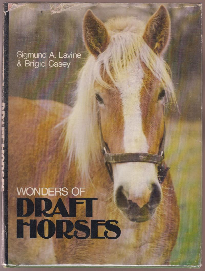 Image for Wonder's of Draft Horses