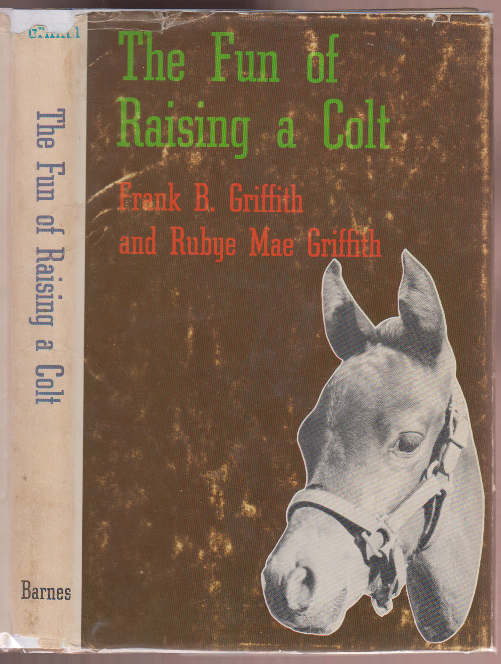 Image for The Fun of Raising a Colt