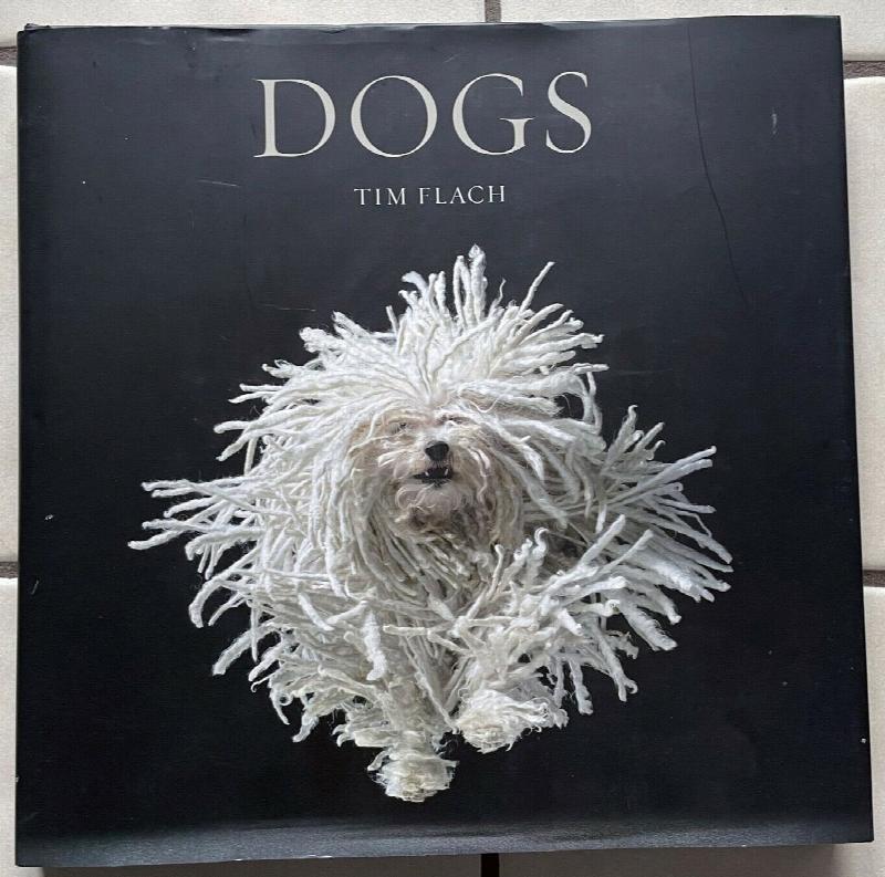 Image for Dogs