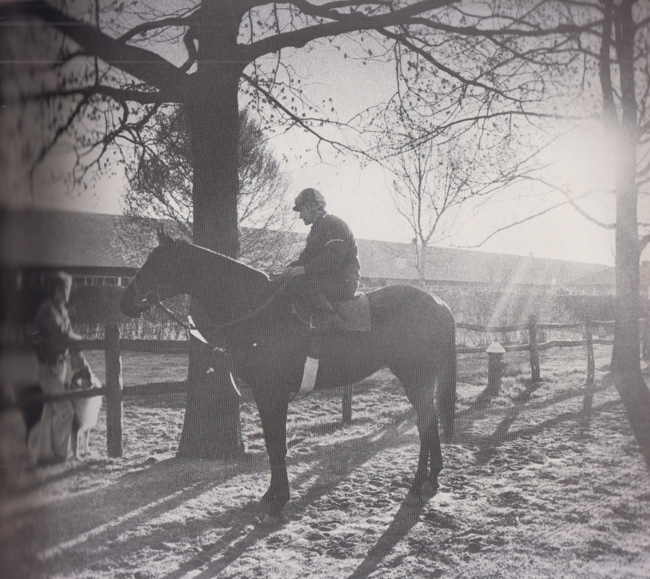 Seattle Slew
