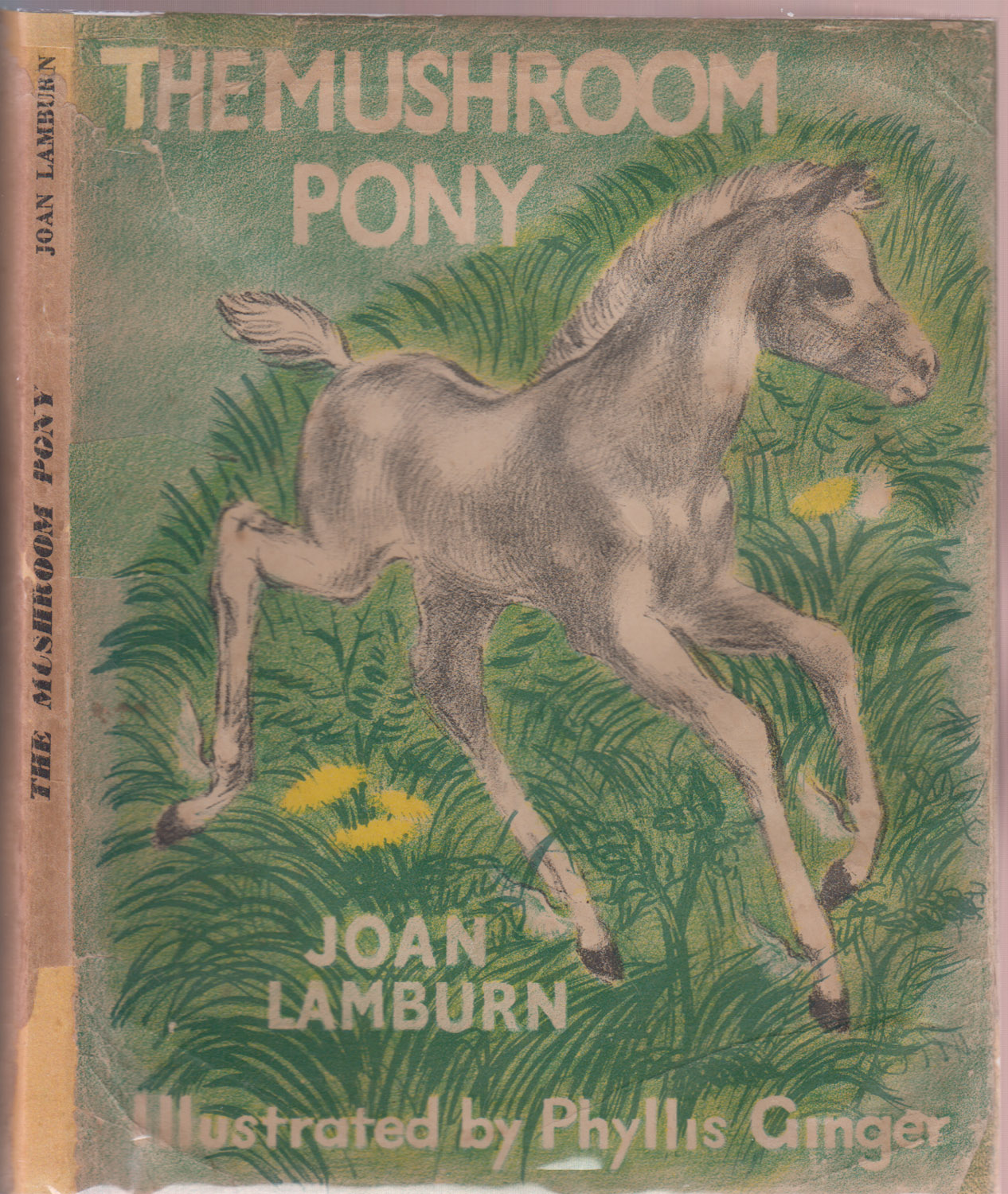 The Mushroom Pony The Story of Clippety-Clop